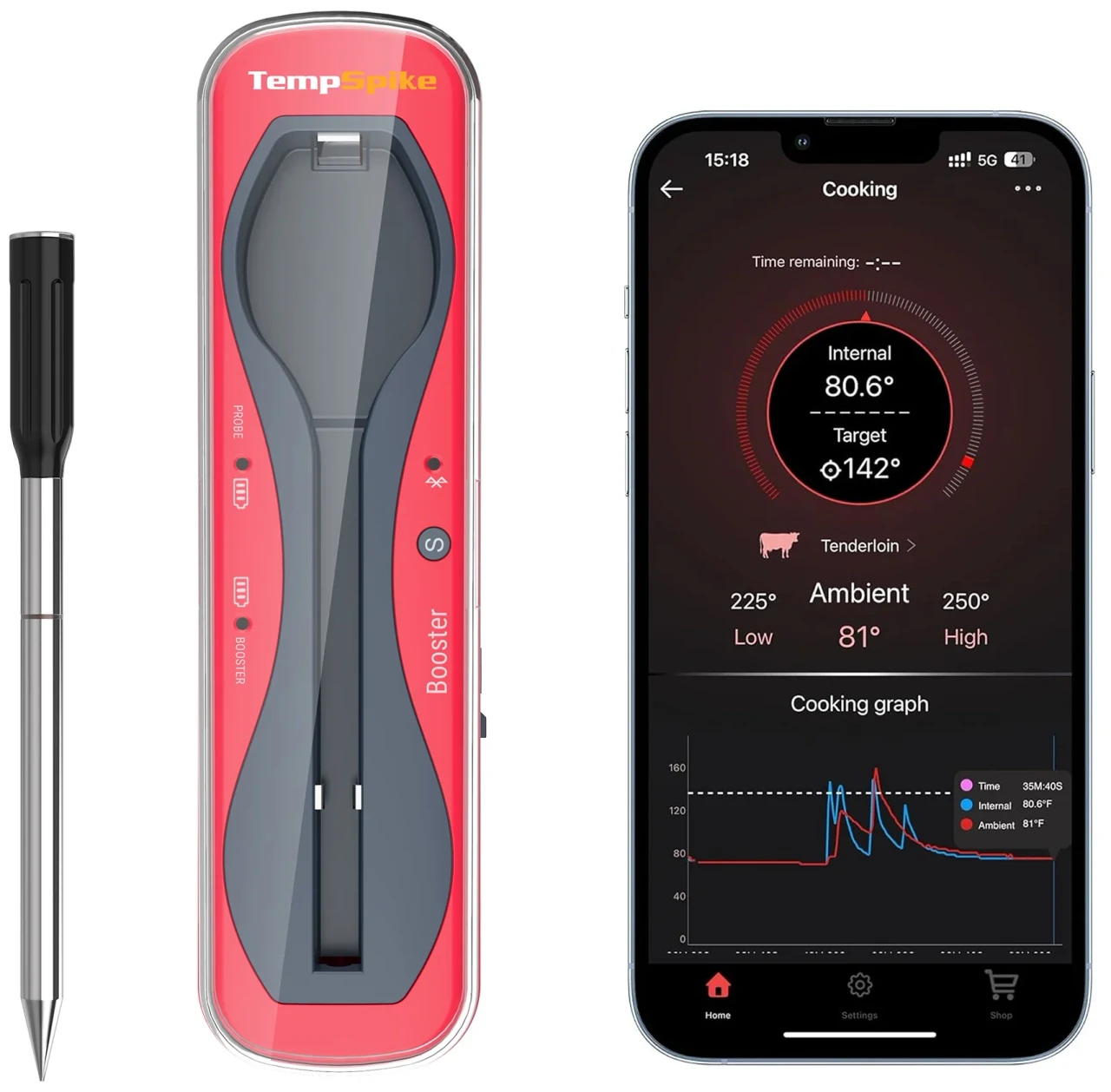 Wireless meat thermometer