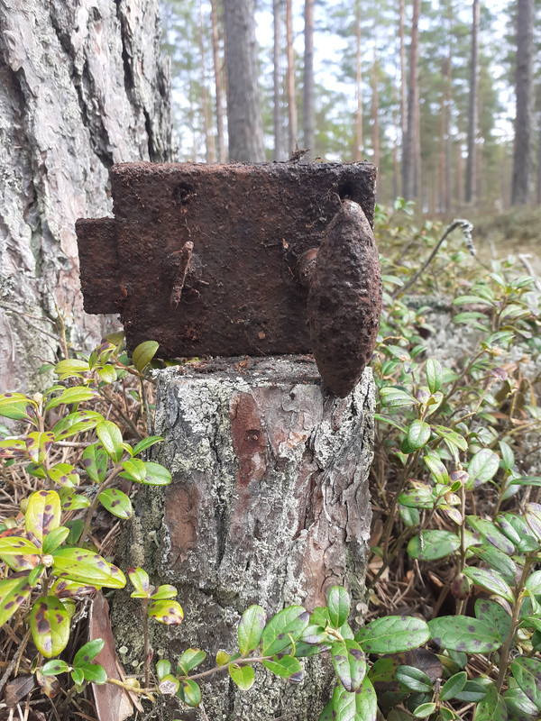 20220514_112658 – kopio