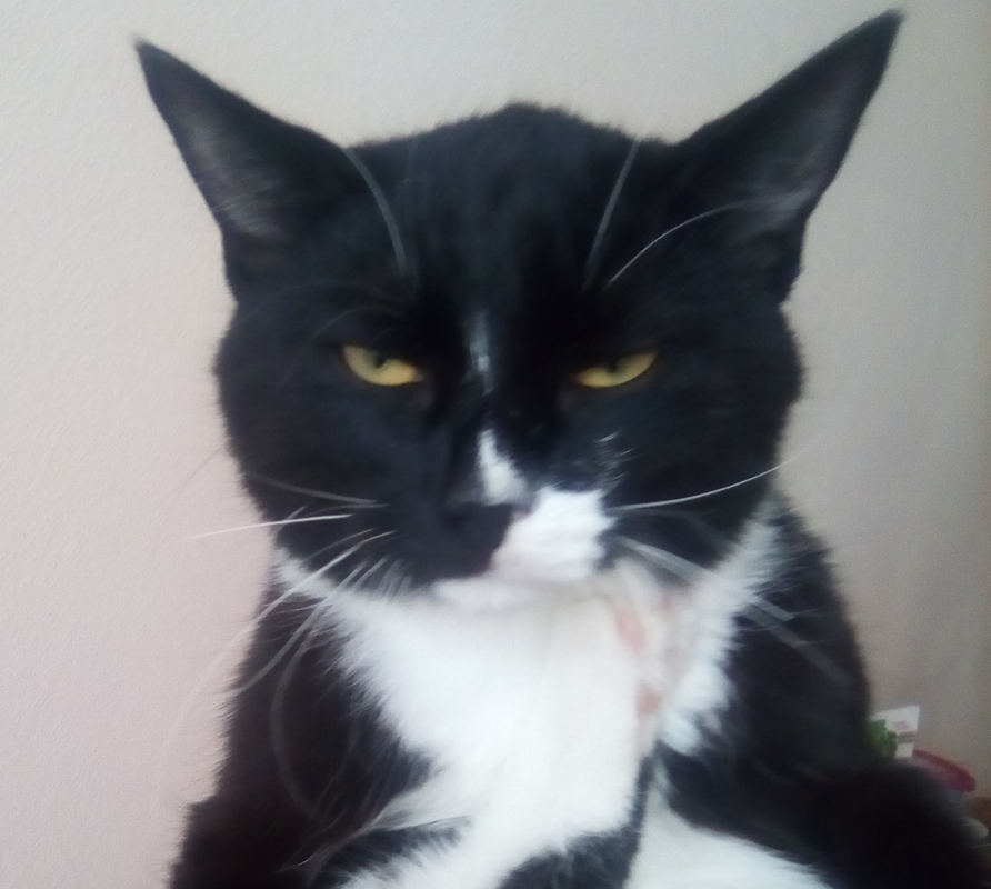 Без названия (1)