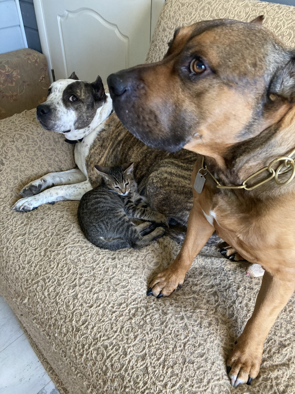 79E087AF-EF26-4B87-B1A3-86ACFF2693BB