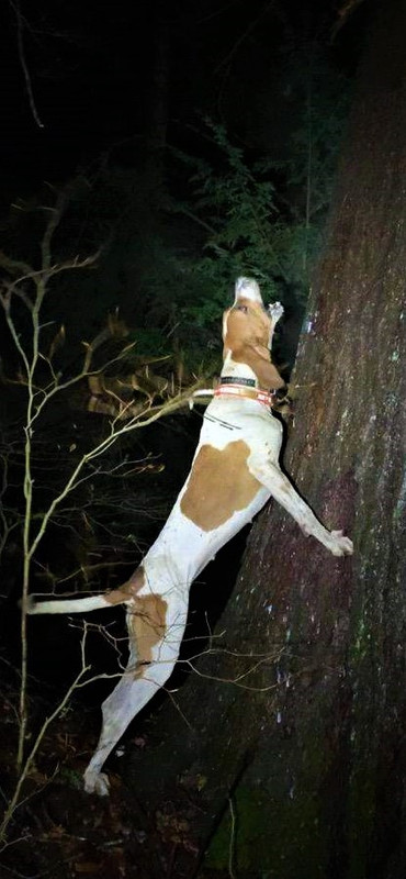 Resized_IMG_4687 (1)