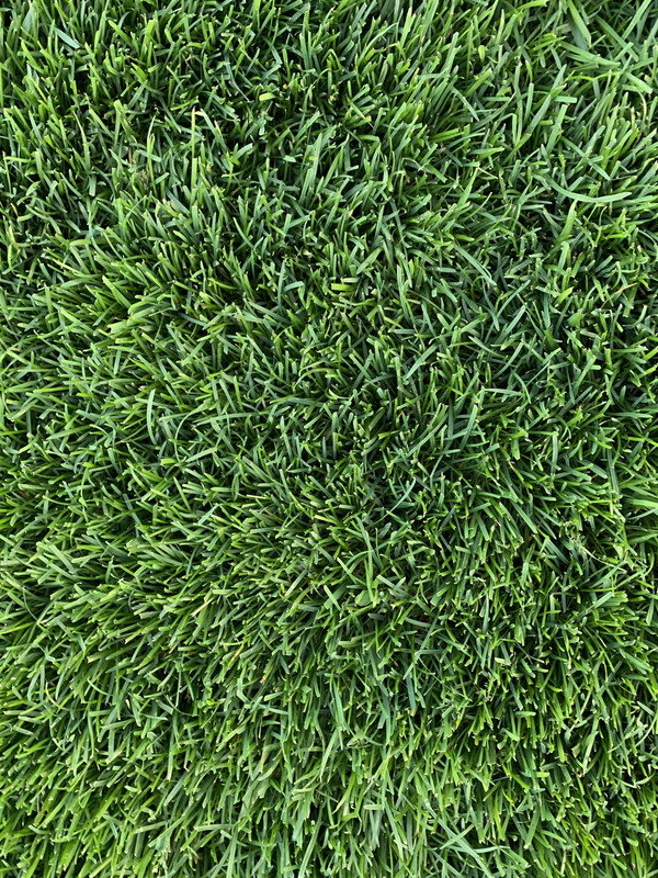 6478C0B1-0FEF-4174-8FA3-B75CC8F5BE40