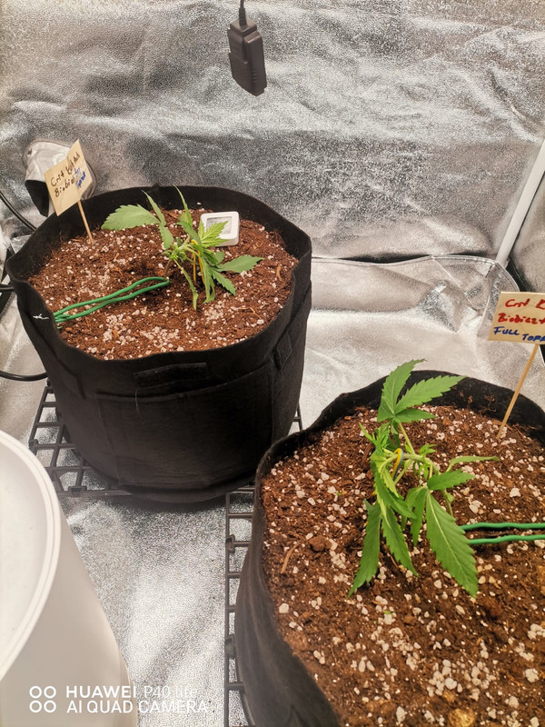 WhatsApp Image 2025-09-19 at 22.05.16 (2)