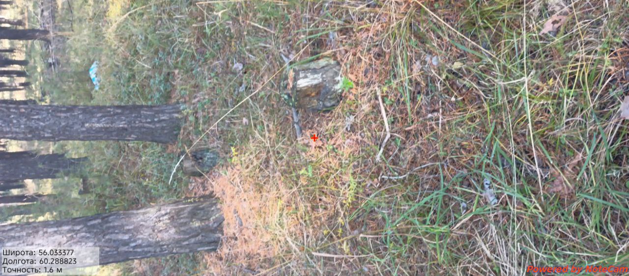 photo_11_2025-10-07_18-11-19