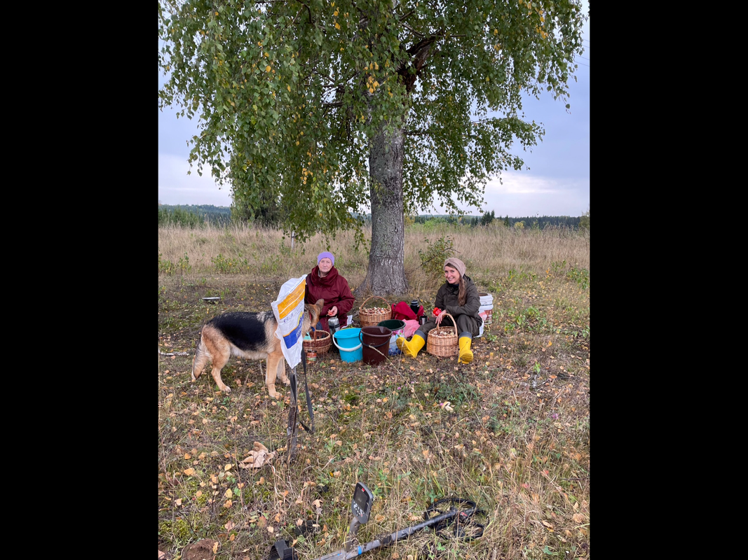 ED2A770E-0404-499F-ABA2-DD832C7B77A4