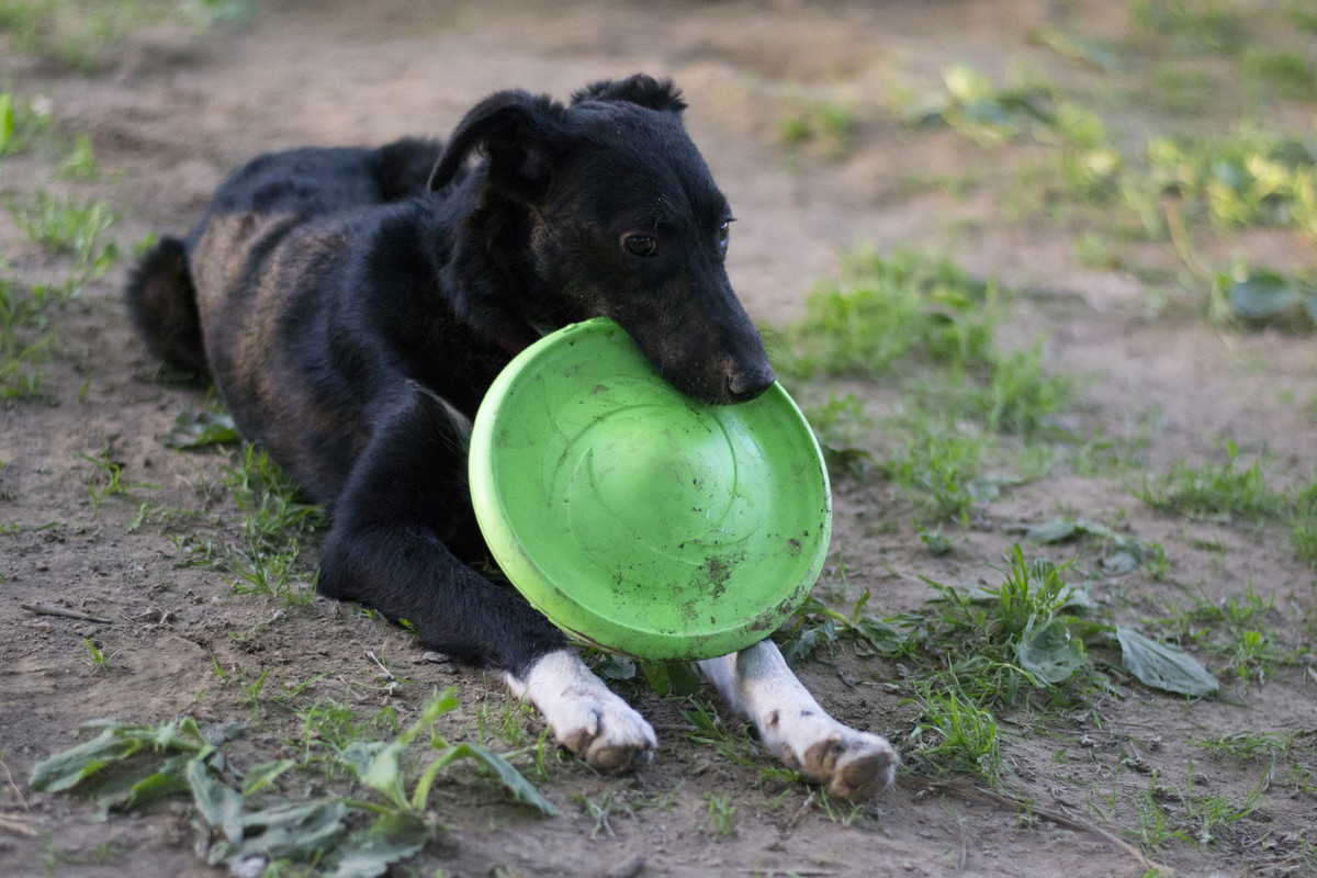 Дакота_06_18_18