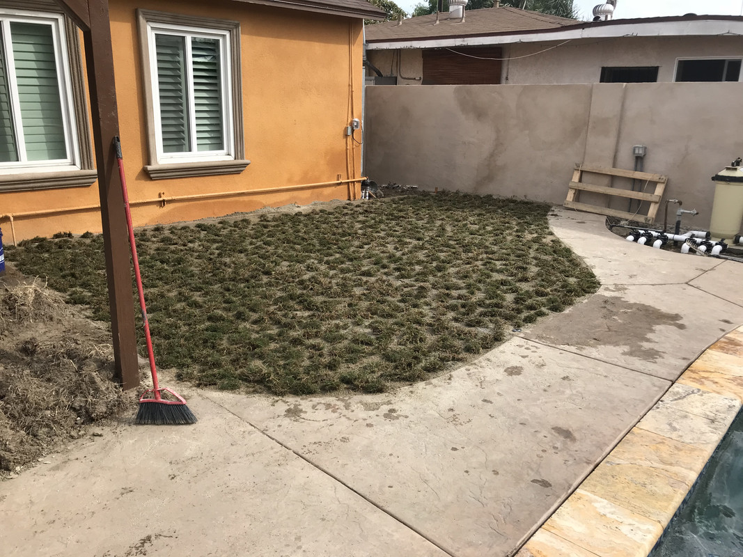 610EBAEE-60E3-49D9-809A-949981F68834