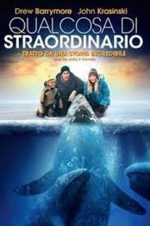 Qualcosa di straordinario (2012).mkv BDRip 576p x264 AC3 iTA-ENG