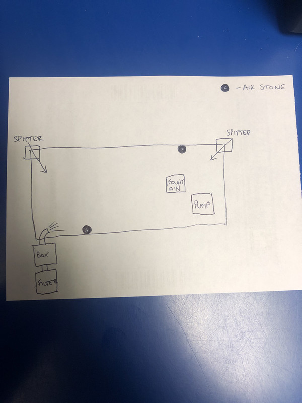 A3986D33-E127-4D4B-85AE-E8CDD9213A62