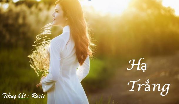 [Image: Capture.jpg]