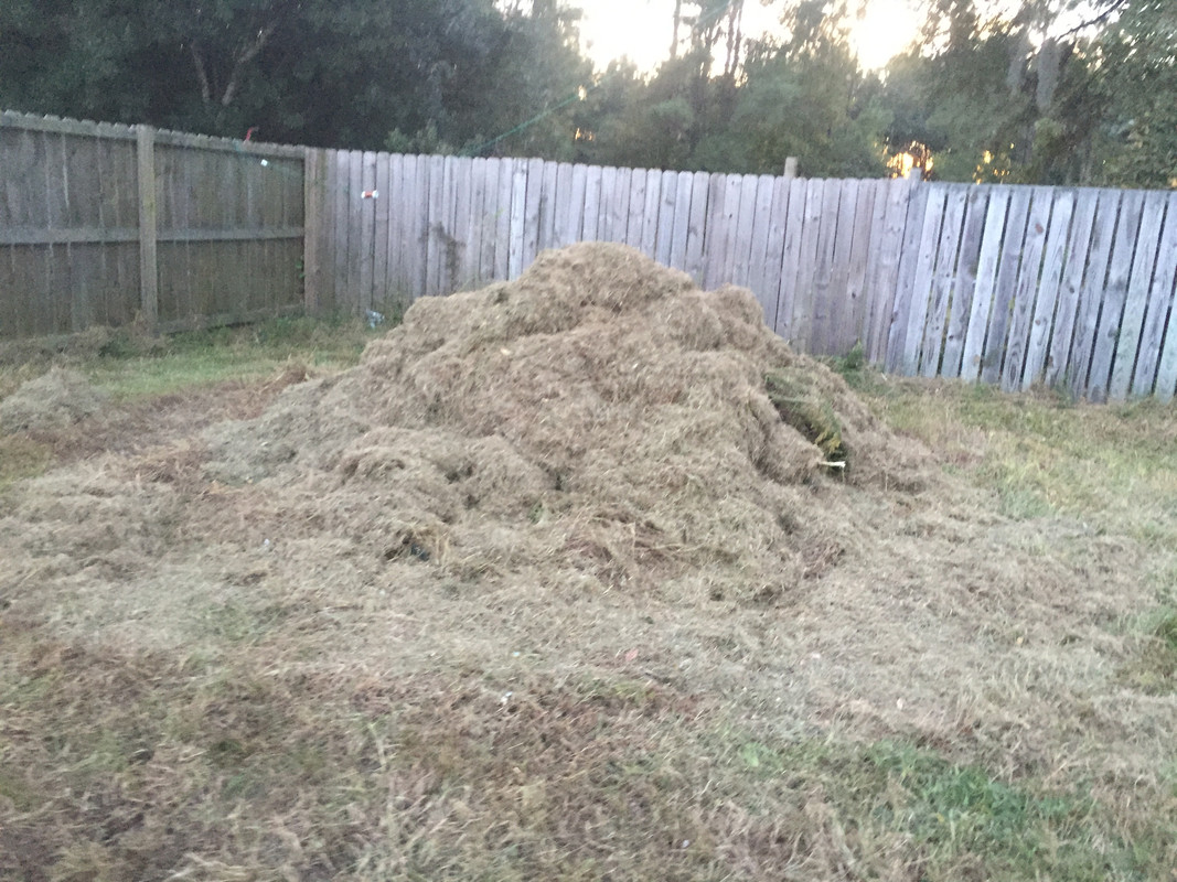 Cleanup pile from overgrowth