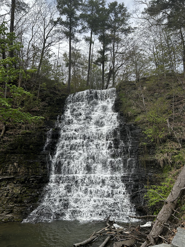 IMG 9752
