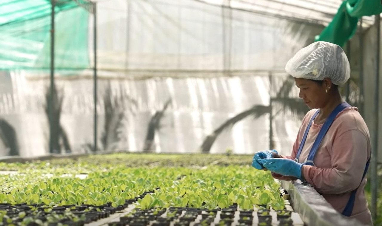 คณิณฟาร์ม 1