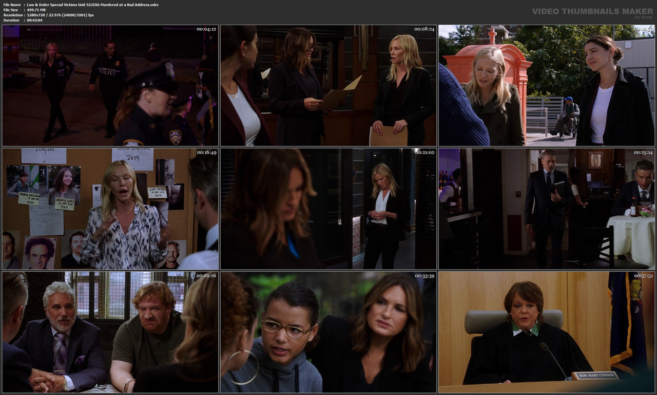 Law & Order Special Victims Unit S21E06 Murdered at a Bad Address.mkv