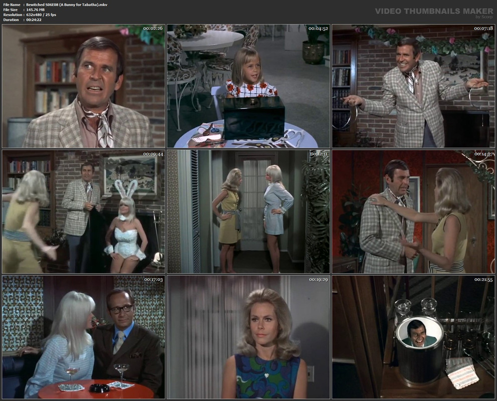 Bewitched S06E08 (A Bunny for Tabatha).mkv