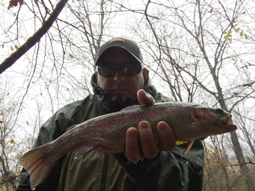 7A38A18F-846E-48EC-B040-617A5EF3C256