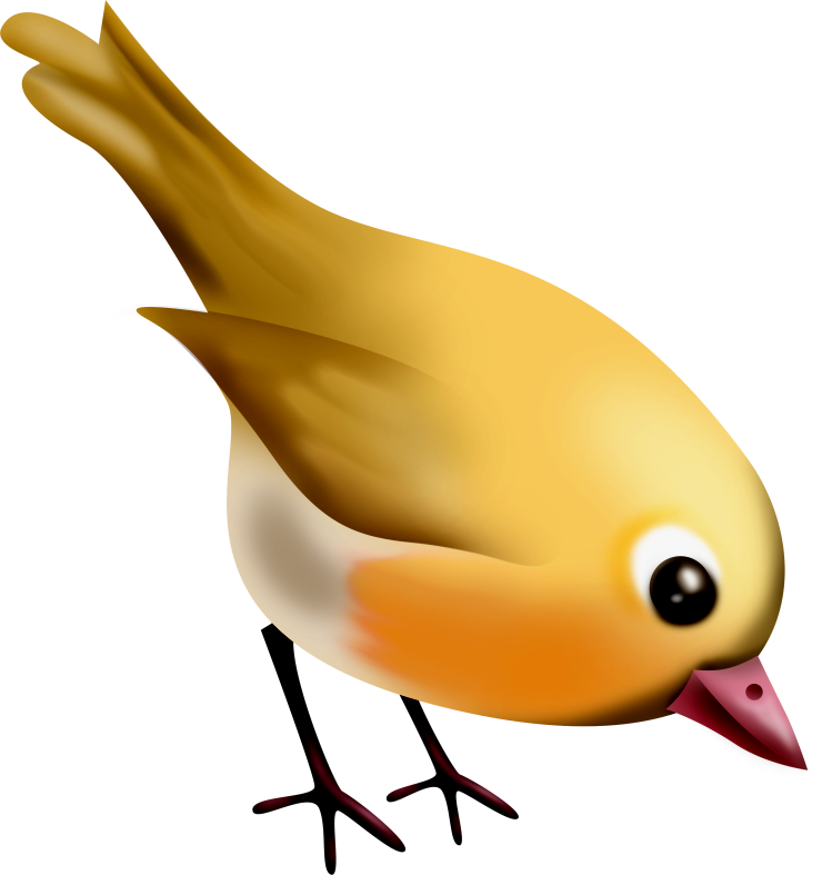 Pumpkinfairykitpudnbird