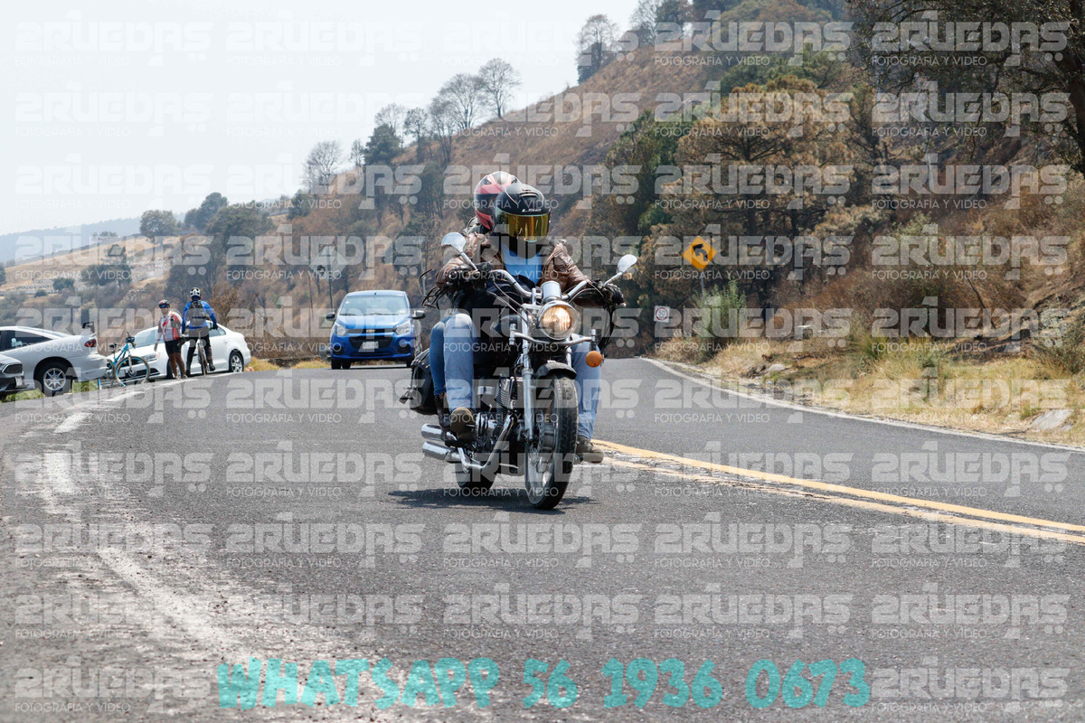 MG 1494 — Postimages