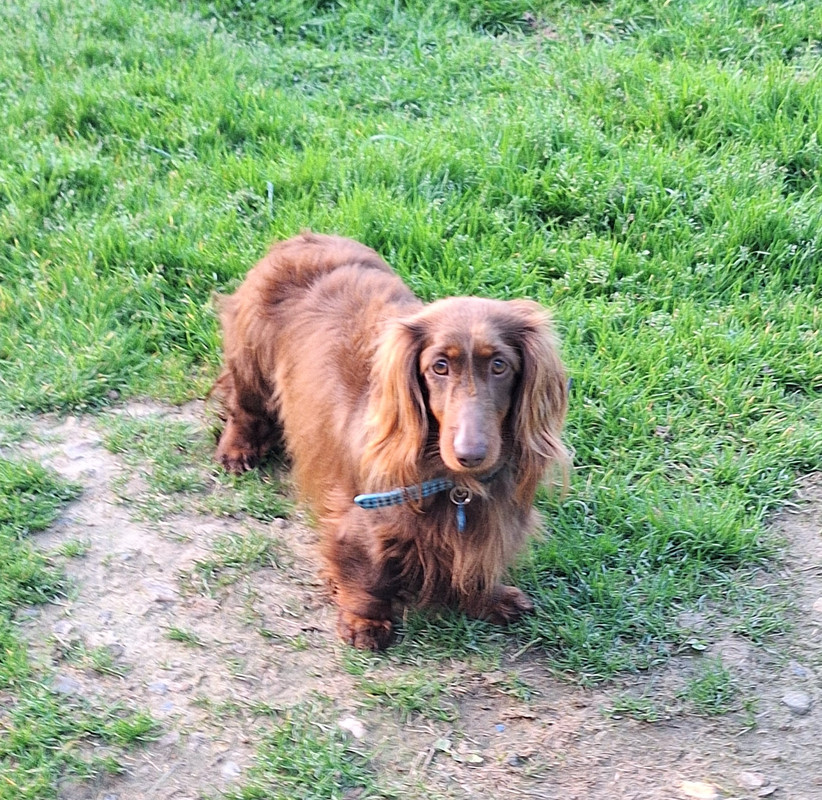 [Image: 20240324-181234.jpg]