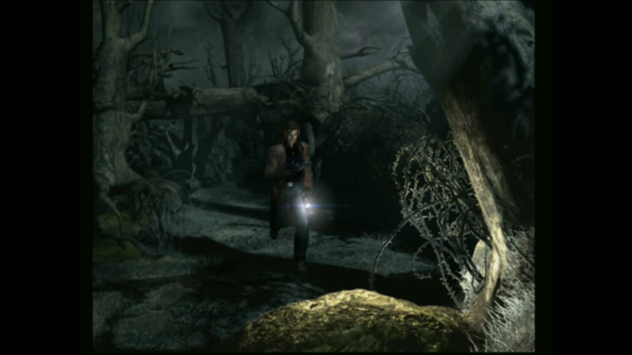 20251230-032414-MOV-000339-800