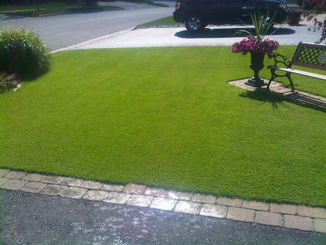 IMG00378-20130905-1557