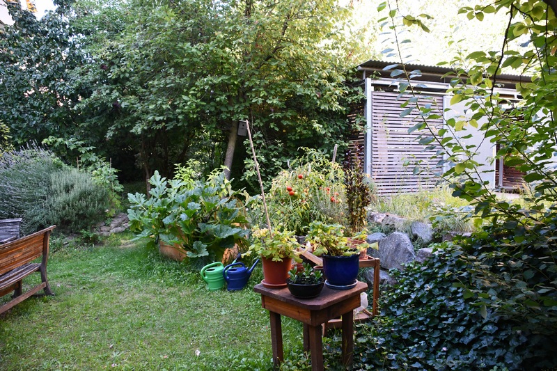 https://i.postimg.cc/gjqN0Ncw/DSC-1126.jpg
