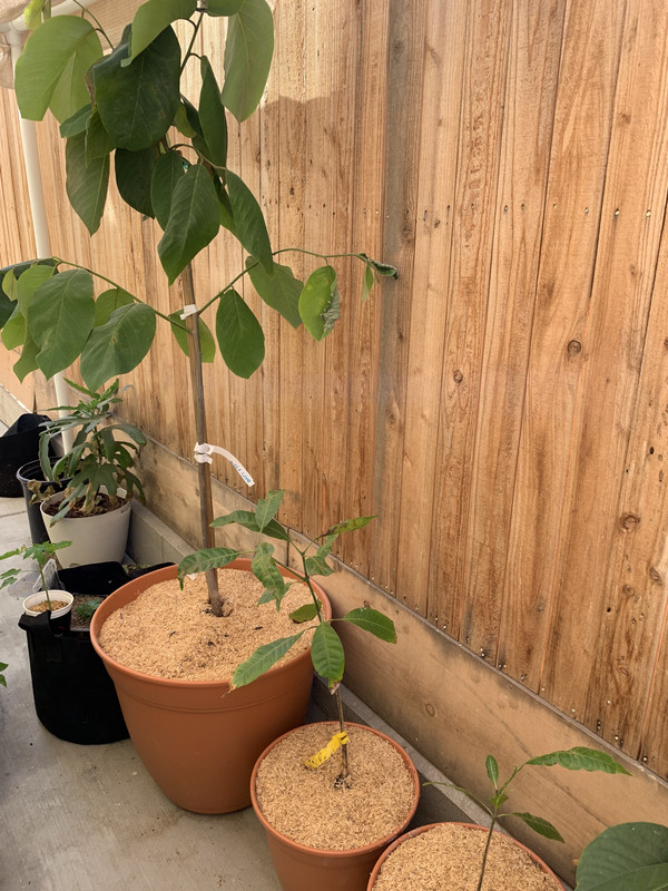 CEB64501-C4E9-400D-BF2B-04F8D64DB161