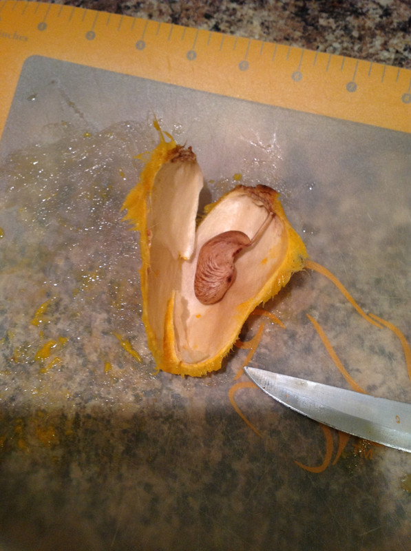 fd5a113322c9510fbaa0d19942d0c23e