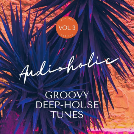 fadd64ed e31c 450e 92b3 667833a6a906 - VA - Audioholic (Groovy Deep-House Tunes) Vol 3 (2022)