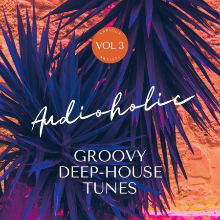 VA - Audioholic (Groovy Deep-House Tunes) Vol 3 (2022)