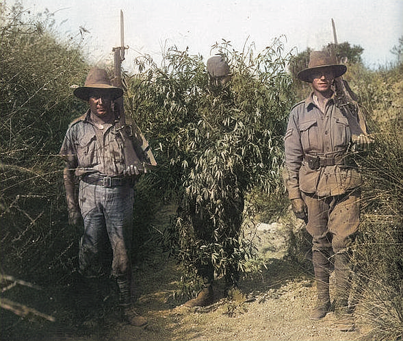 d988c473746f5c4b38cb299e9800967f