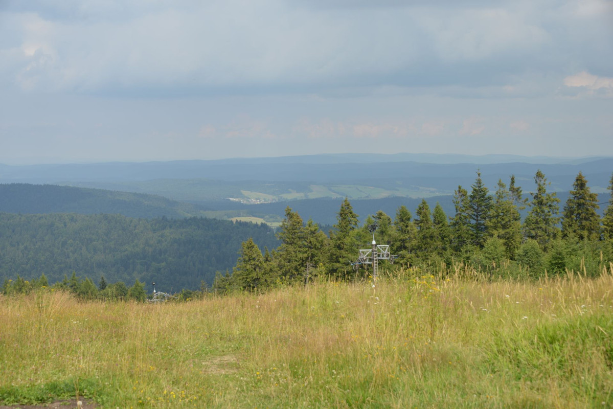 DSC-3436.jpg