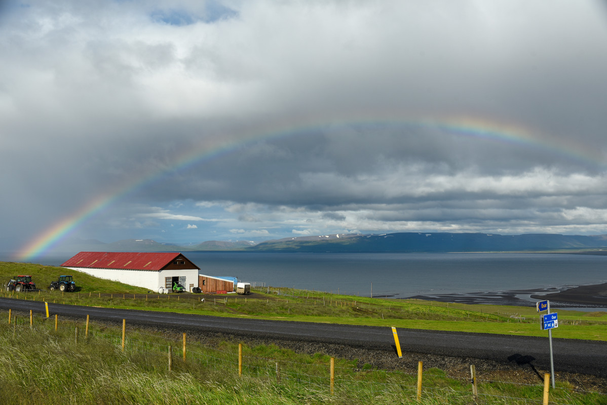 Iceland, Las fuerzas de la naturaleza (2021) - Blogs de Islandia - Norte: Agua y piedras (57)