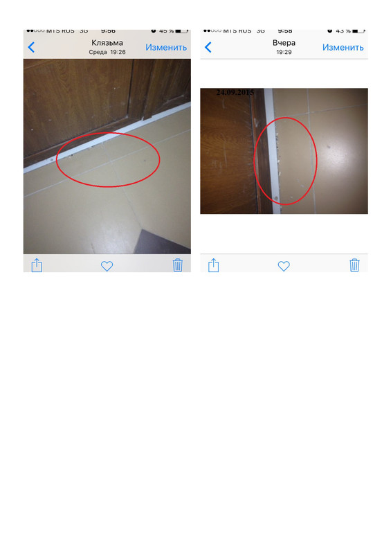 подьез семечки - Page 1