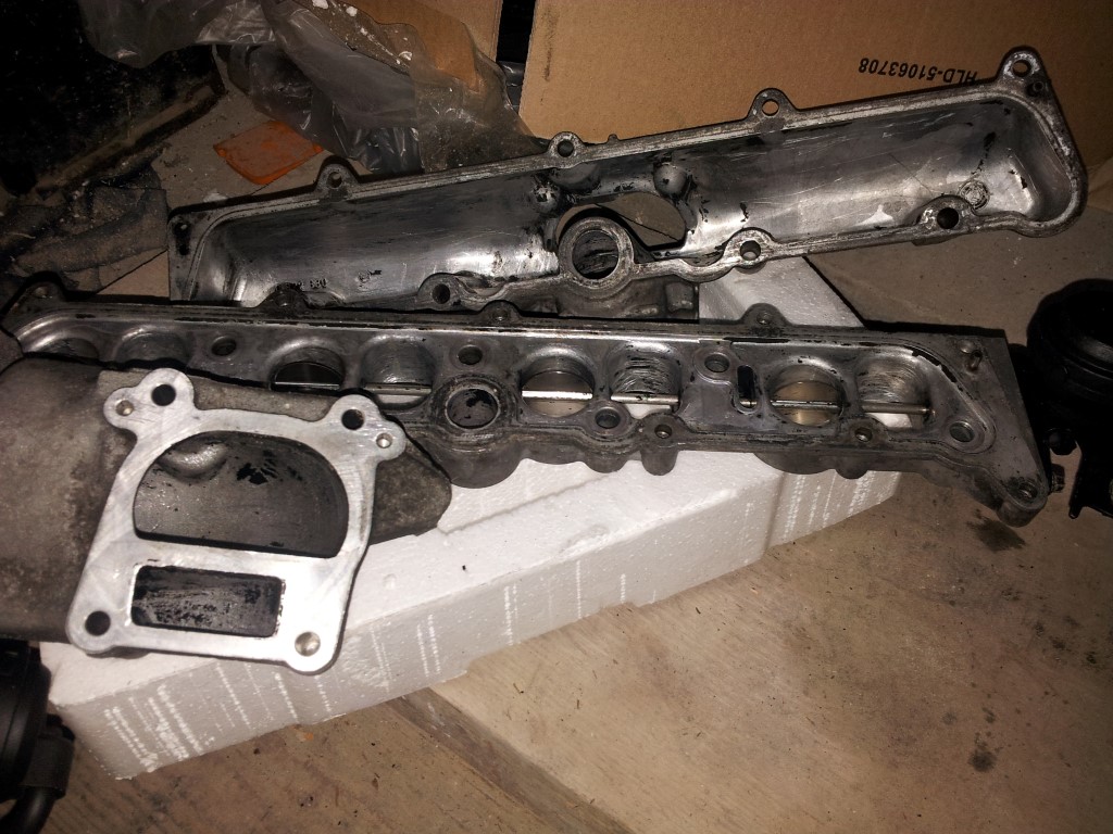 20151203_192514 (Medium)