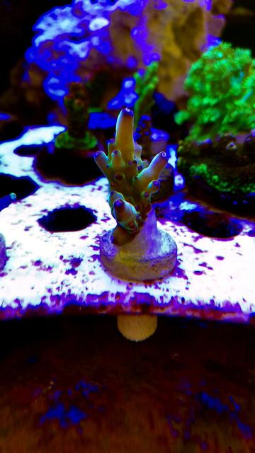 2B49F5BB-02BF-41FA-94D8-4E6F18AC7DB8