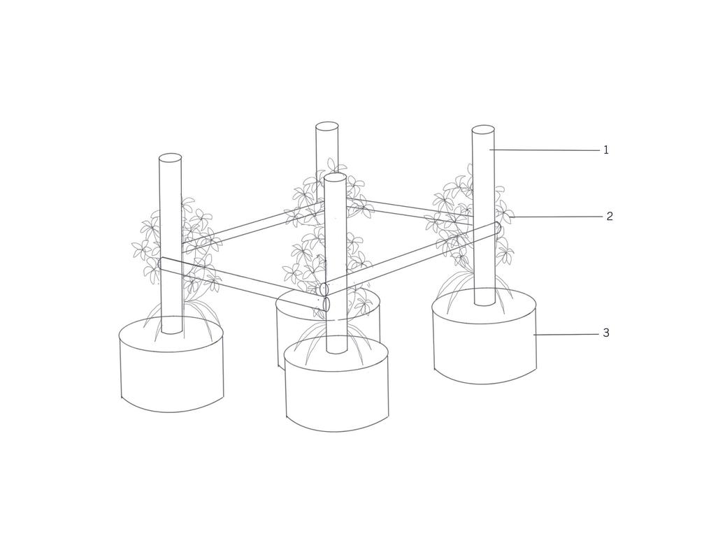 ภาพร่าง บ้านปลามีชีวิต