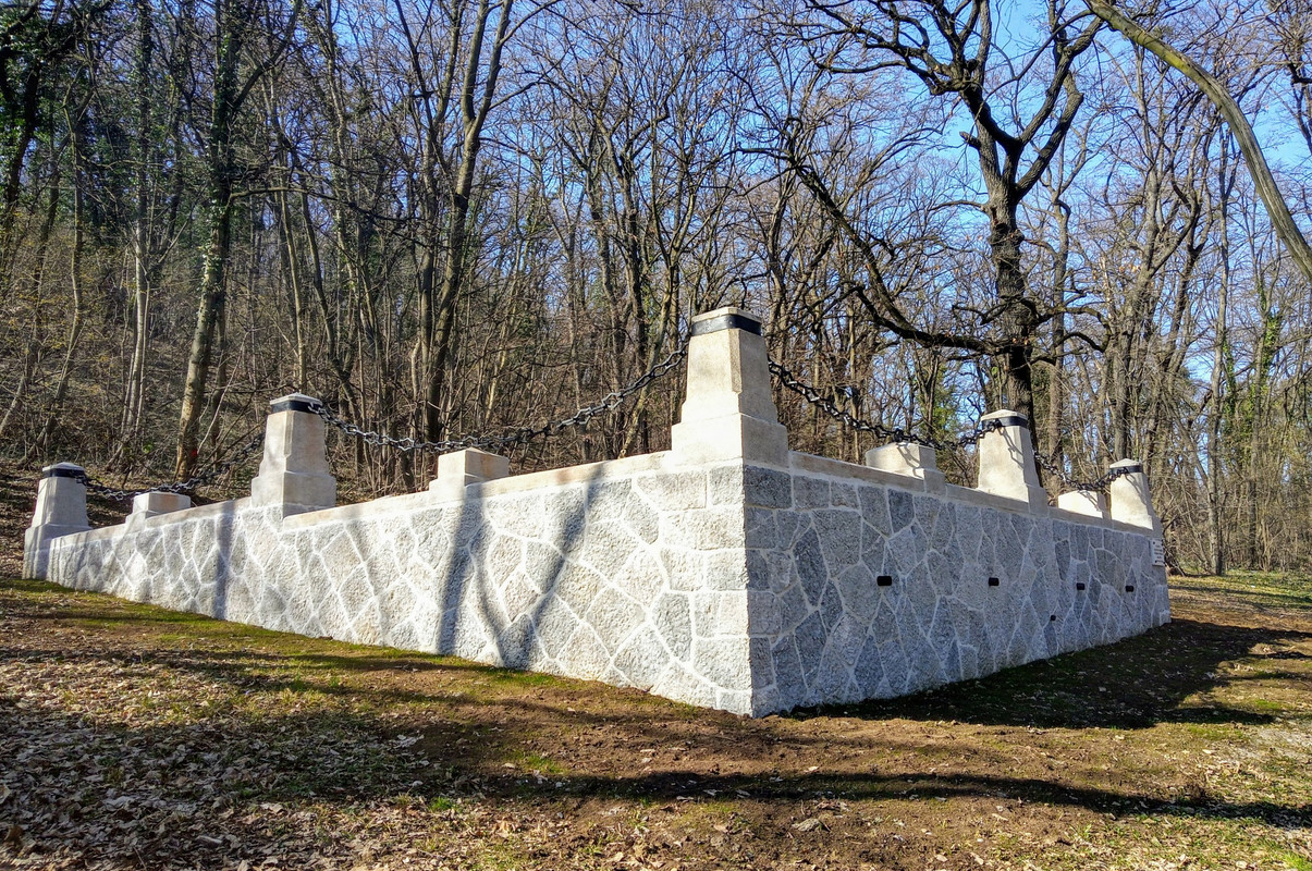 20210222_123728_HDR(1)