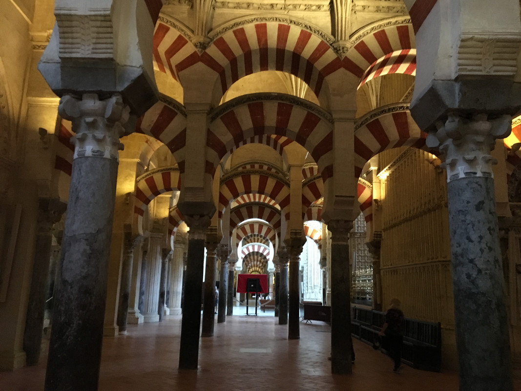 79B60E1F-C3FB-4727-920E-26A6B5033674