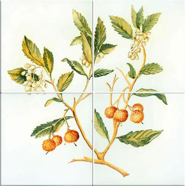 254054_422852921107665_1356765002_n