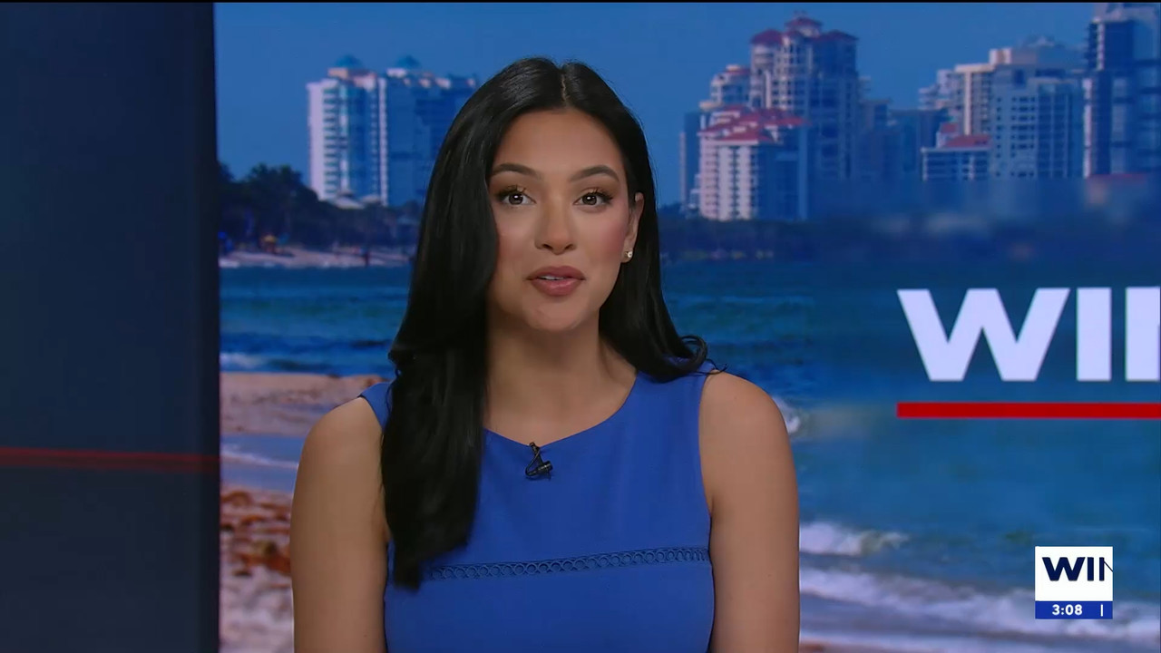 04.05 - 20.00.01 - WINK News at 3pm.   Category  News.      EPG Credi....ts_snapshot_00.09.14.889