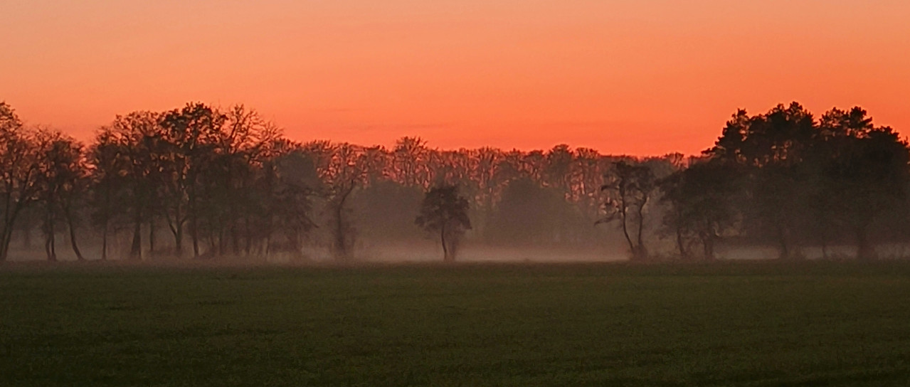 Lumii 20251126 181647553