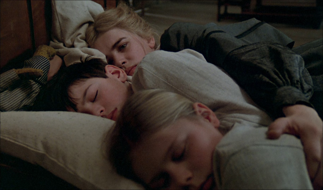 Fanny and Alexander 1983 TV Criterion (1080p x265 10bit Tigole).