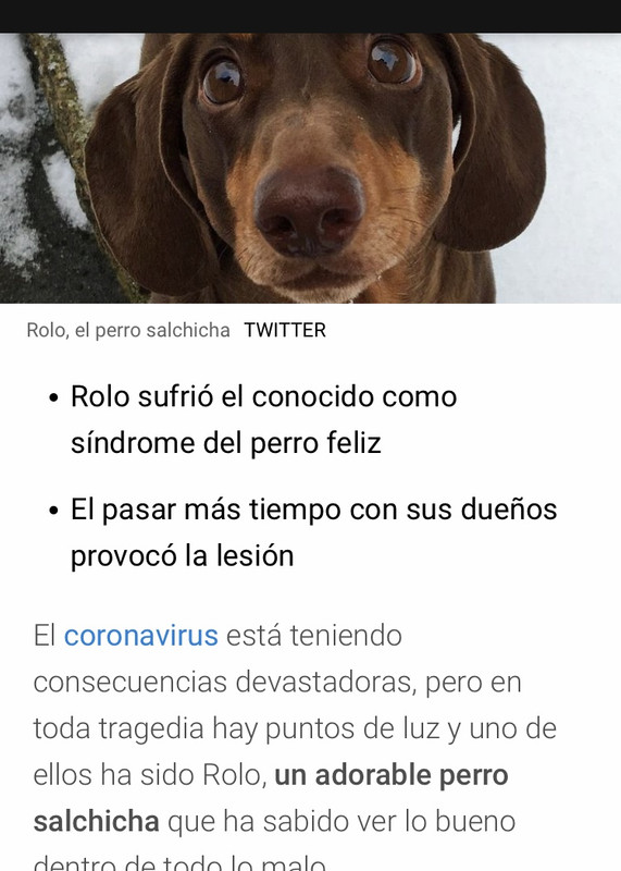 519ACBDE-E6B7-4231-9D34-AAD47B7D519D