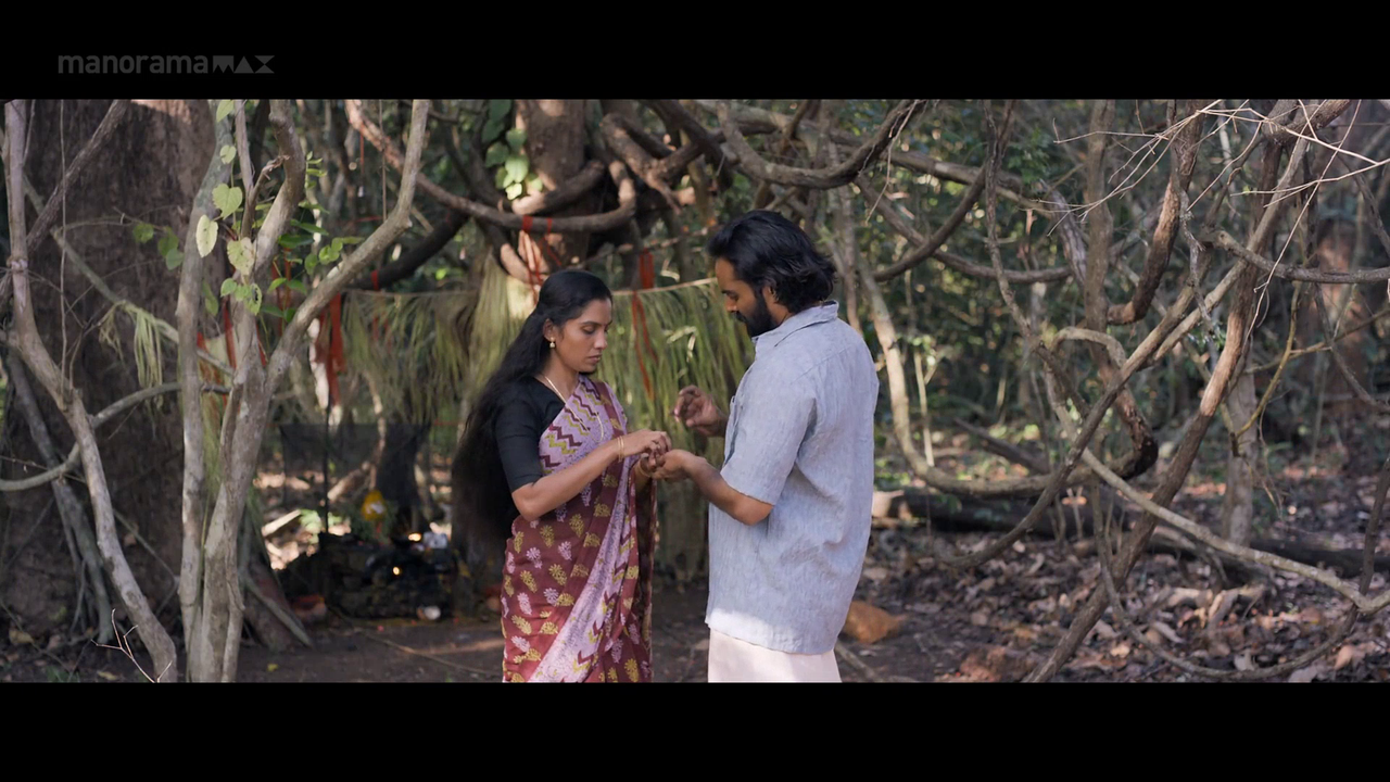 vlcsnap 2026 02 06 18h02m12s270