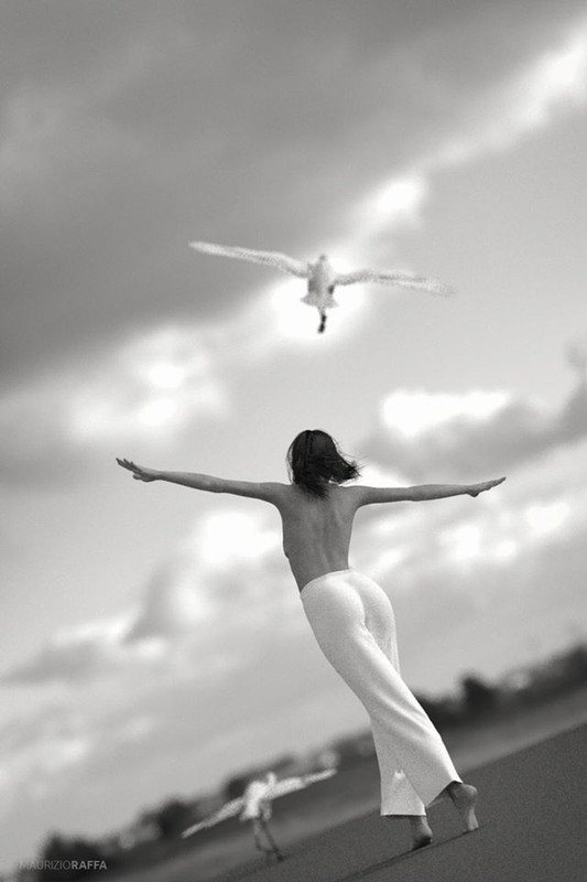 79237656-2598542790223613-58079339634103