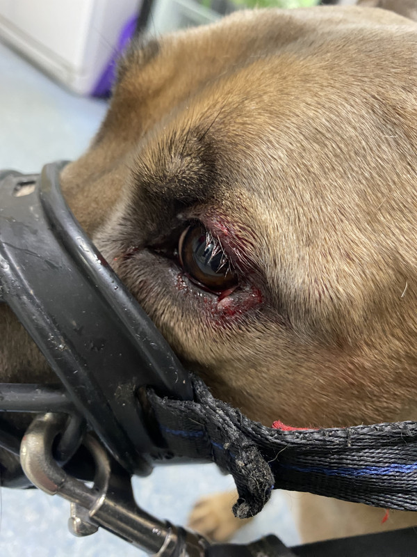 7749537B-CDEA-42D0-9978-41F8ED21029E