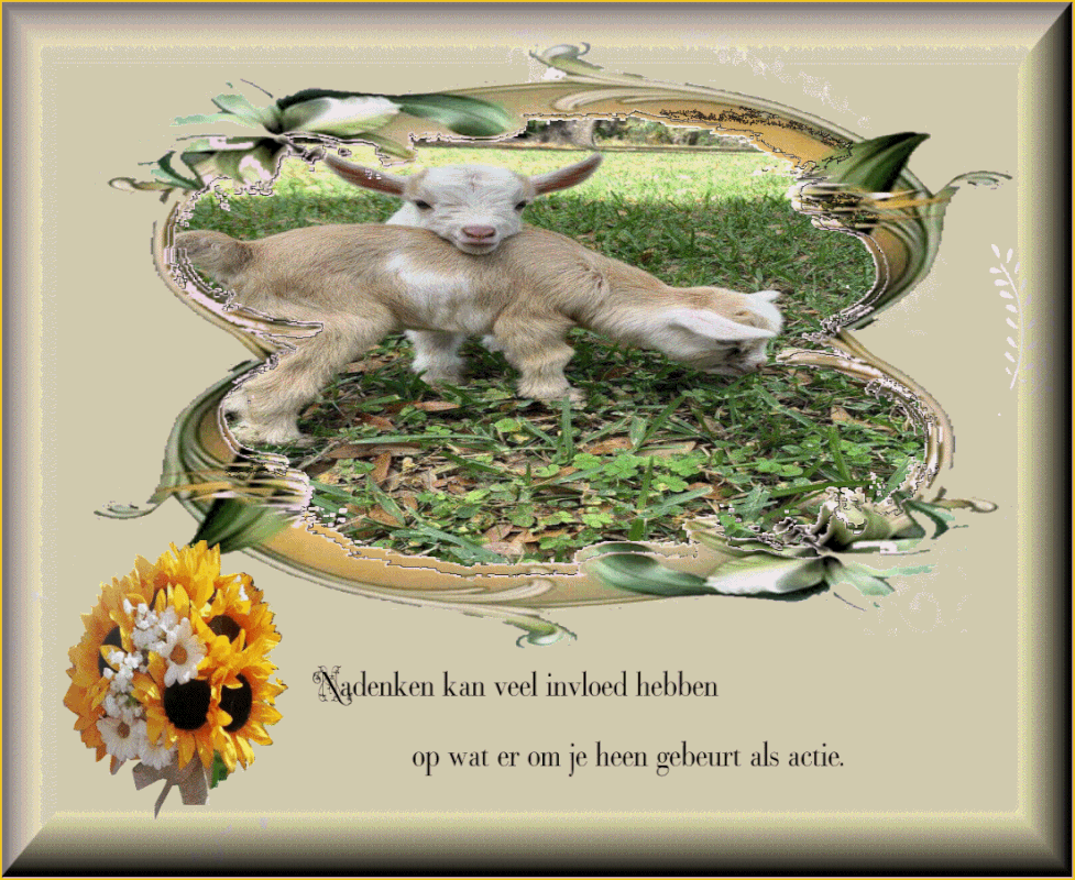 middenplaatje-3-juli-2021