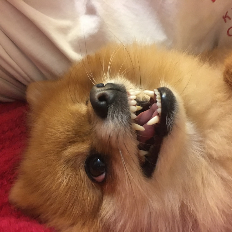 3A591556-1D03-403F-8A37-133350A12BB5