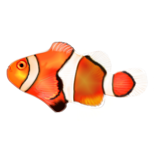 Clown-Fish.png